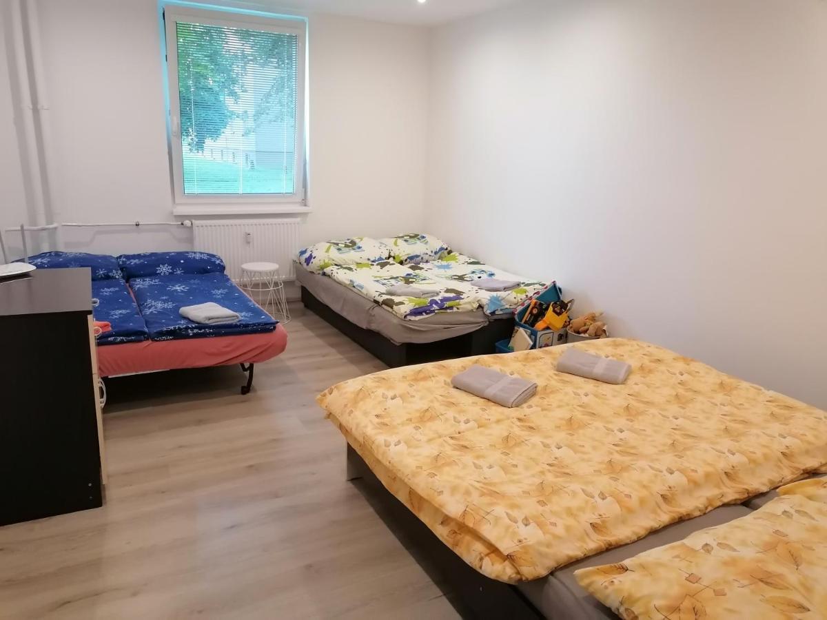Apartman Aneta การ์โลวีวารี ภายนอก รูปภาพ