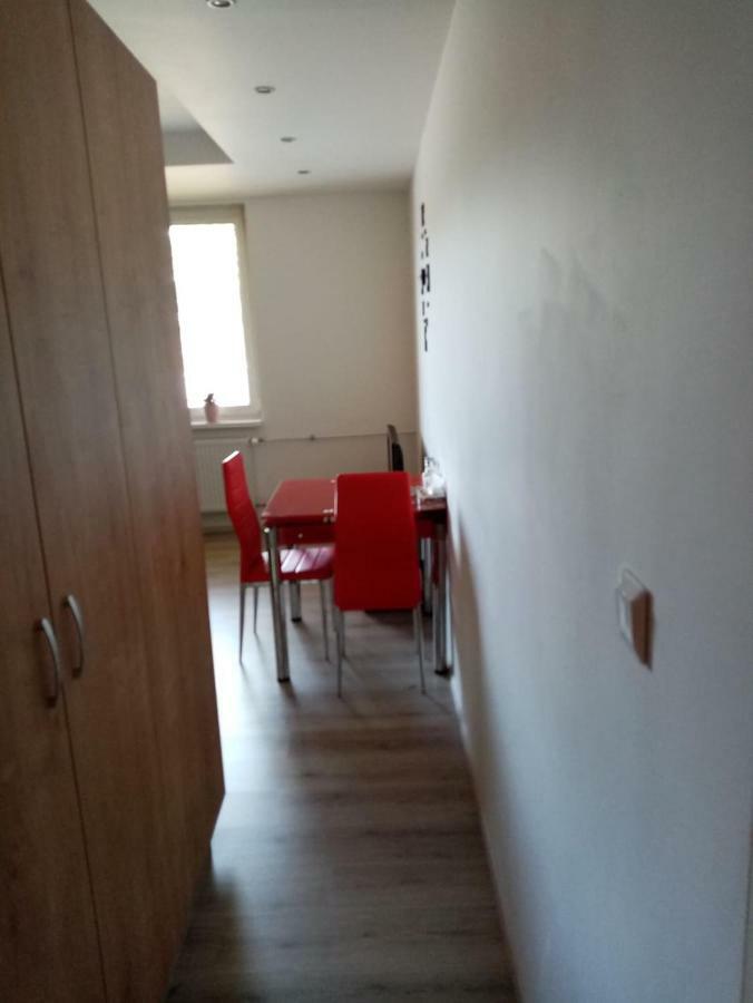 Apartman Aneta การ์โลวีวารี ภายนอก รูปภาพ